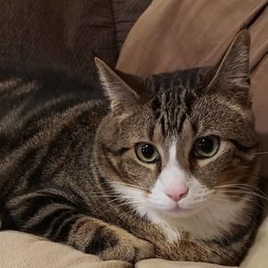 Meet your Posher, Sandy